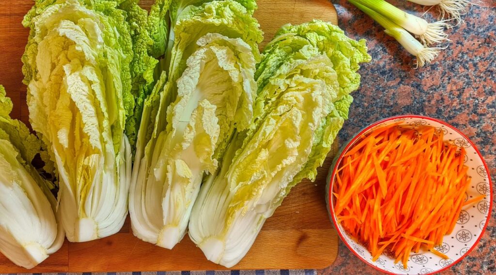 napa cabbage